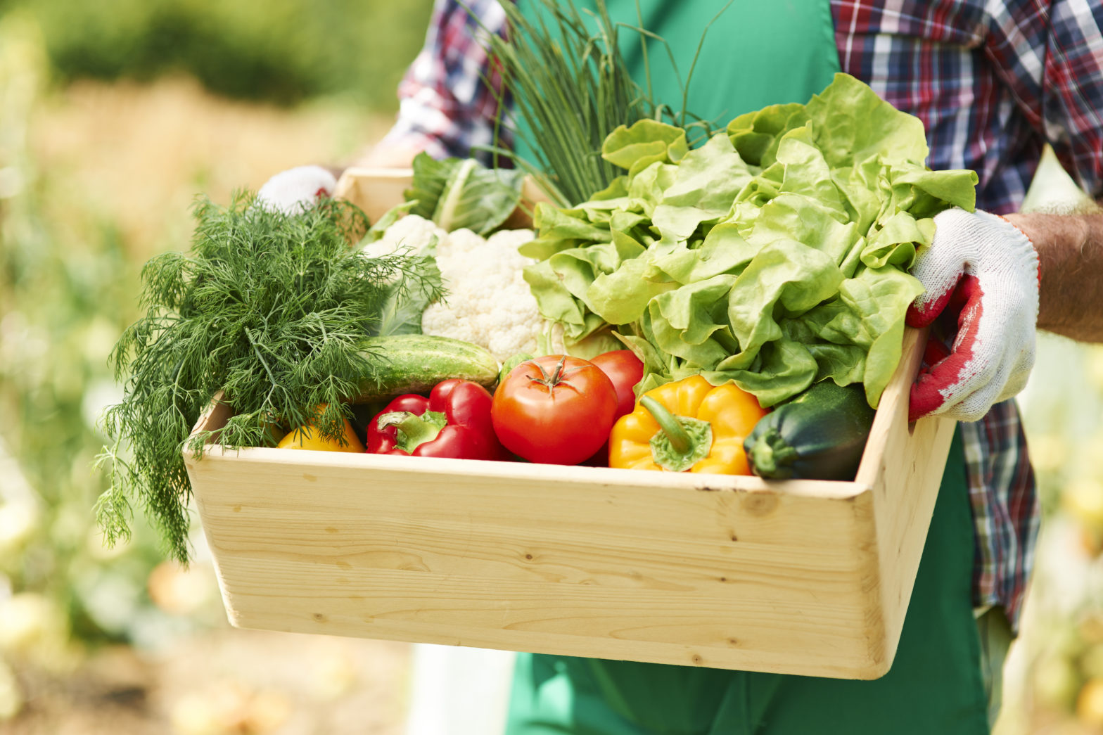 veggies in box