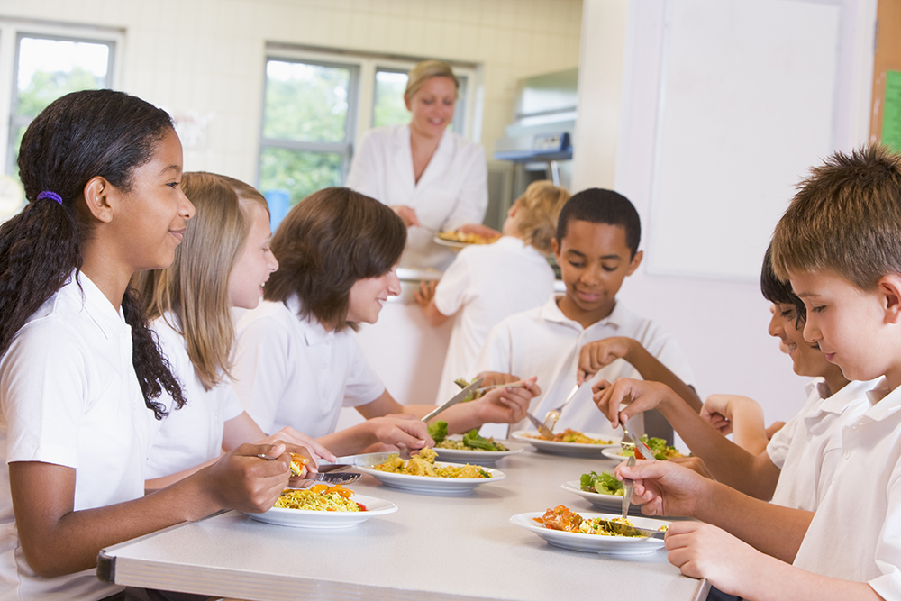 children, school, food