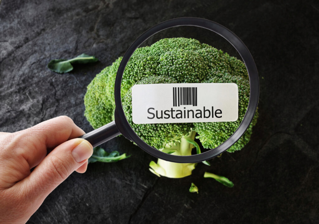 Person with a magnifying glass looking at broccoli with Sustainable UPC label